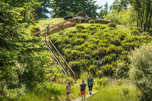 Walking paths